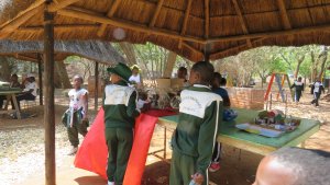 2016 Mukuvisi Eco Schools Challenge